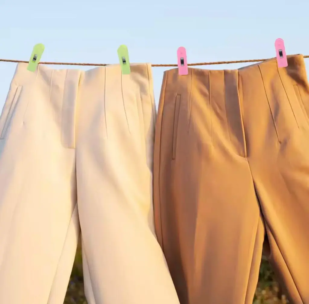 WhatsApp Image 2026-01-08 at 12.33.01 PM (2).webp