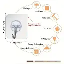 ٢٠٢٦٠٦١٨_١٥٣٢١٧.webp