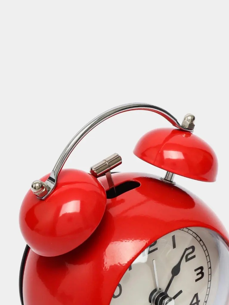 WhatsApp Image 2026-01-08 at 2.49.29 PM.webp