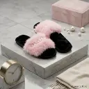بابوج ستاتي شتوي