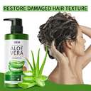 شامبو وبلسم SADOER